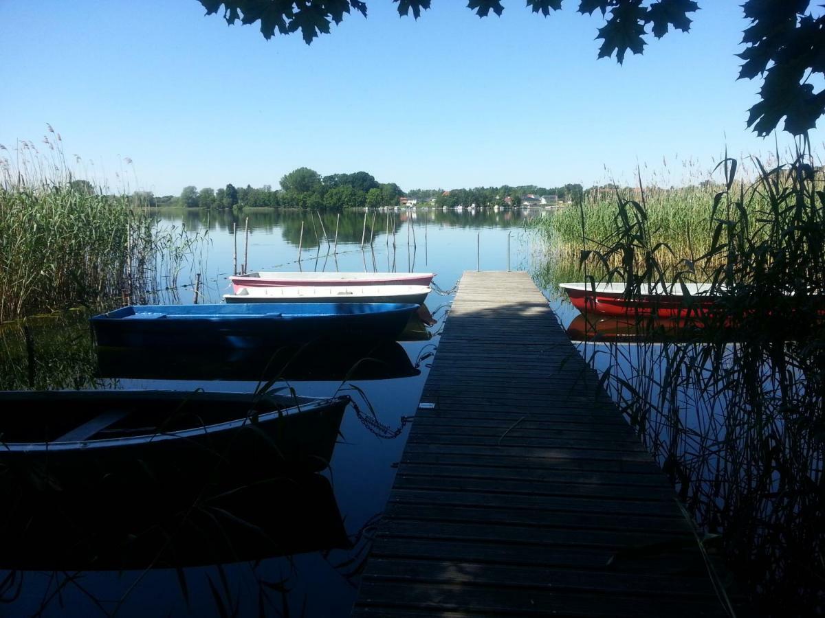 Holzhaus Trollbluemchen Am Wald Und See Neuruppin Exterior foto